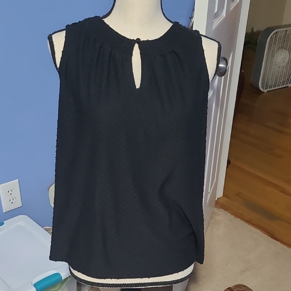 Rose And Olive Elegant Black Sleeveless Top